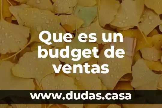 Que es un budget de ventas