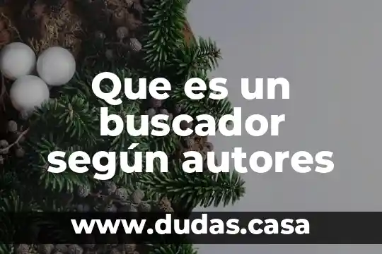 Que es un buscador según autores