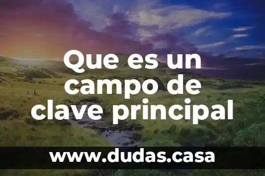 Qué es el tema principal de un cuento 4 Que es un campo de clave principal