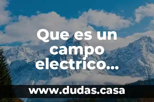 Que es un campo electrico positivo y negativo