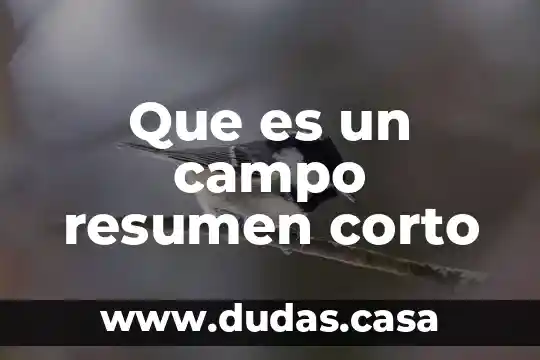 Que es un campo resumen corto