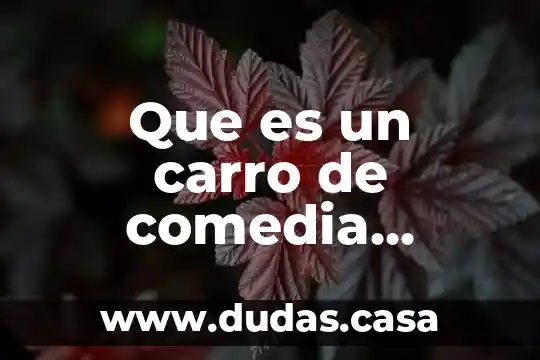 Que es un carro de comedia definicion