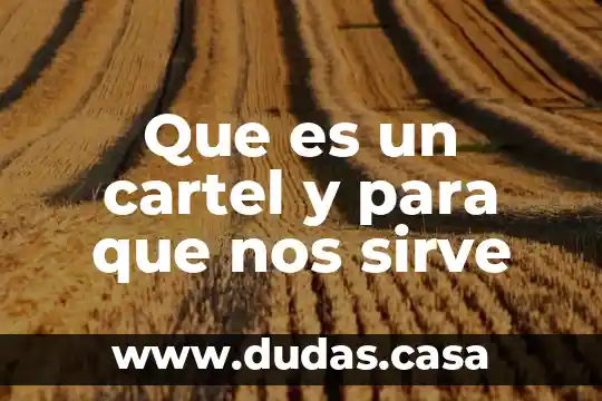 Que es un cartel y para que nos sirve