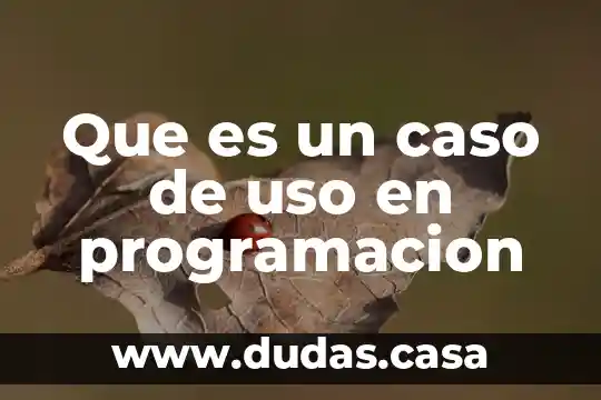 Que es un caso de uso en programacion