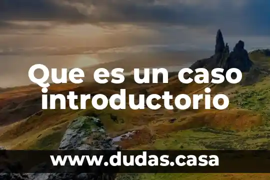 Que es un caso introductorio