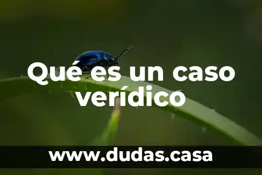 Qué es un caso verídico