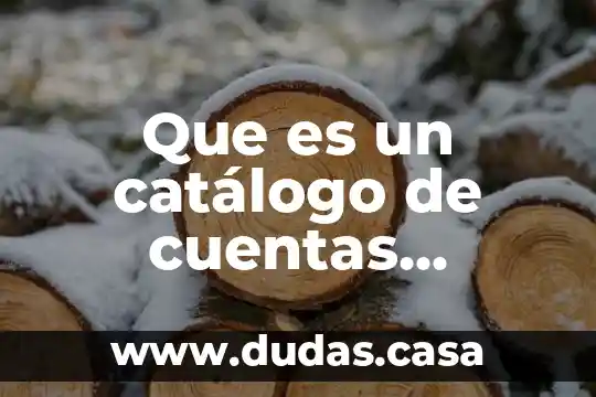 Que es un catálogo de cuentas contabilidad