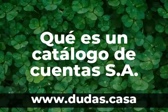 Qué es un catálogo de cuentas S.A.