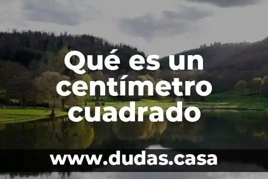 Qué es un centímetro cuadrado