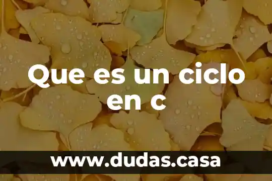 Que es un ciclo en c