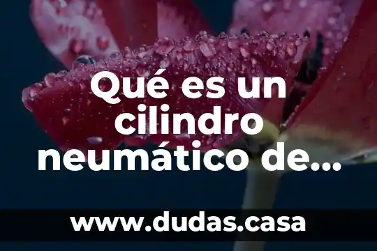 Qué es un cilindro neumático de doble efecto