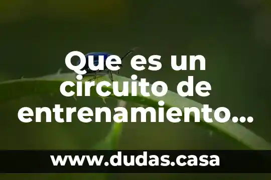 Que es un circuito de entrenamiento funcional