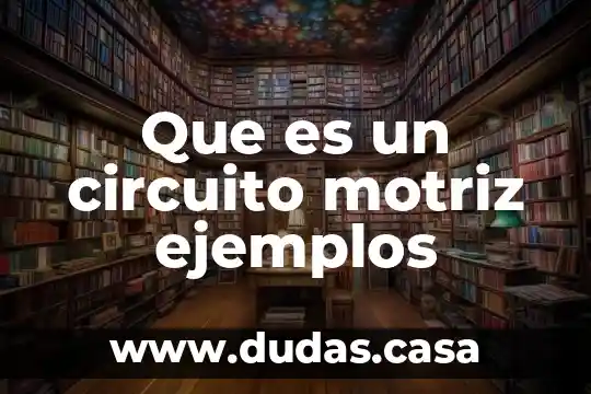 Que es un circuito motriz ejemplos