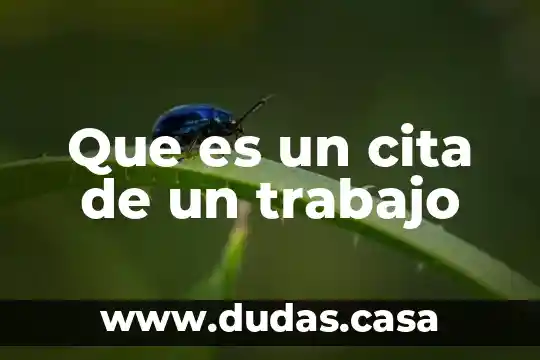 Que es un cita de un trabajo