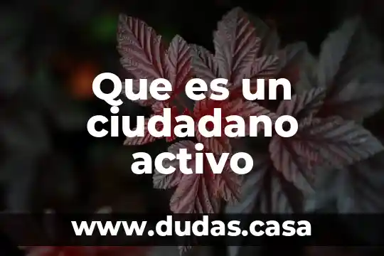 Que es un ciudadano activo