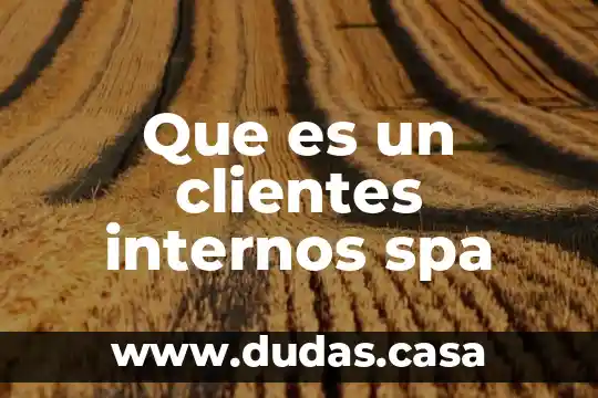 Que es un clientes internos spa