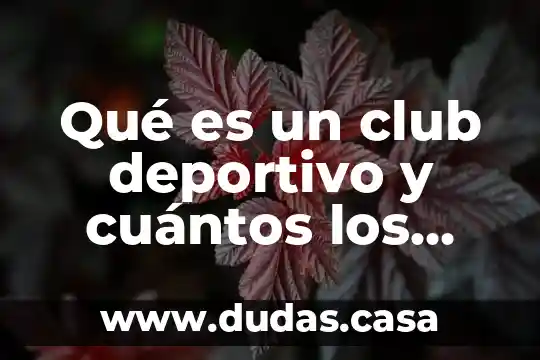 Qué es un club deportivo y cuántos los integran