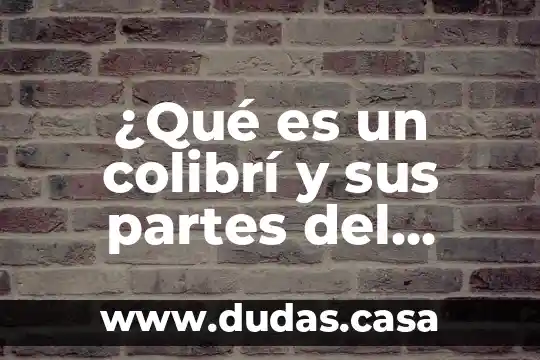 ¿Qué es un colibrí y sus partes del cuerpo?
