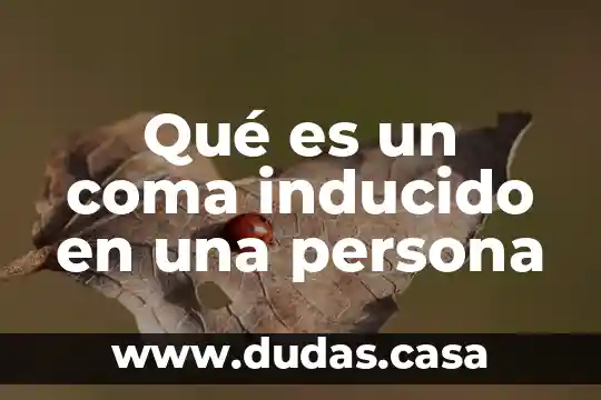Qué es un coma inducido en una persona