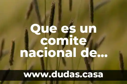 Que es un comite nacional de bioetica