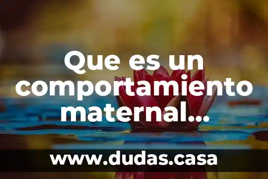 Que es un comportamiento maternal animal