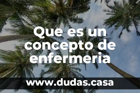 Que es un concepto de enfermeria