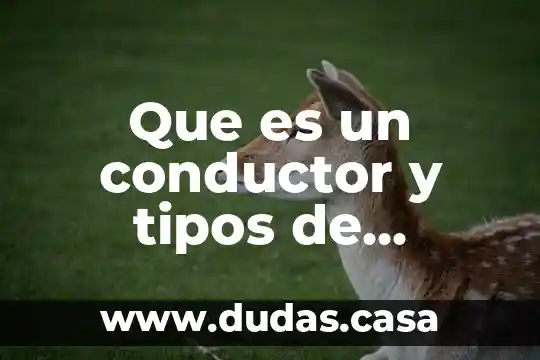 Que es un conductor y tipos de conductores