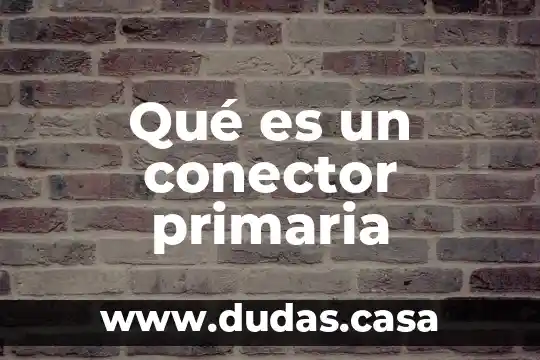 Qué es un conector primaria