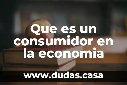 Que es un consumidor en la economia