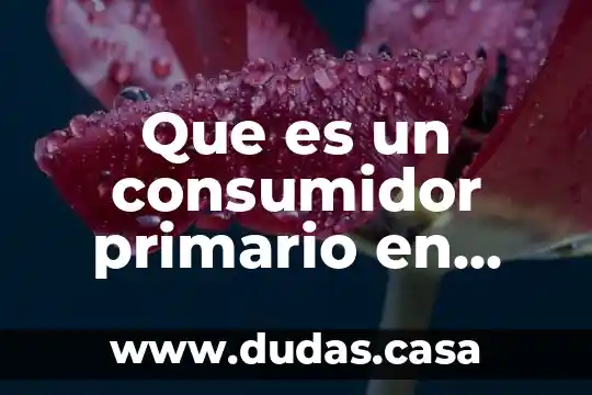 Que es un consumidor primario en biologia