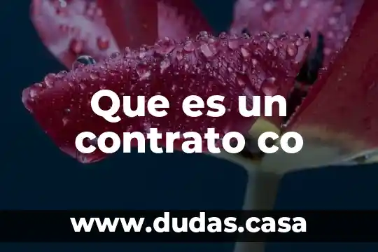 Que es un contrato co