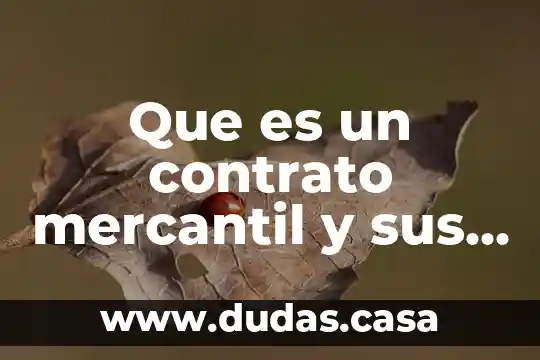 Que es un contrato mercantil y sus caracteristicas