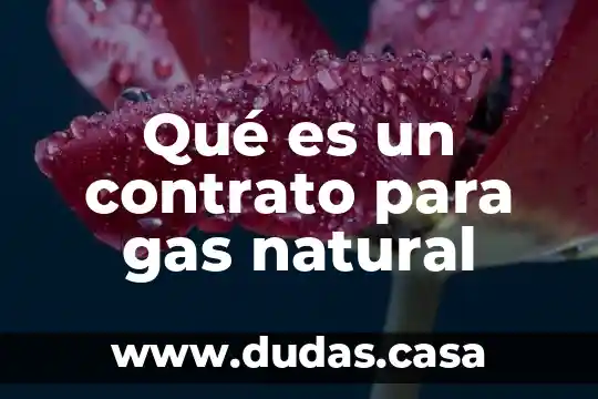 Qué es un contrato para gas natural