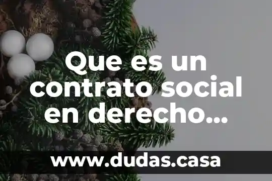Que es un contrato social en derecho mercantil mexico