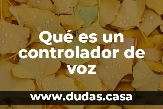 Qué es un controlador de voz