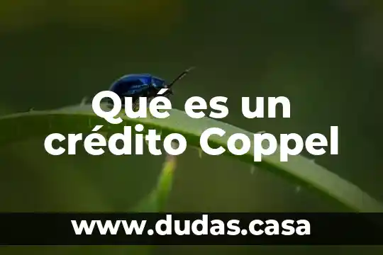 Qué es un crédito Coppel