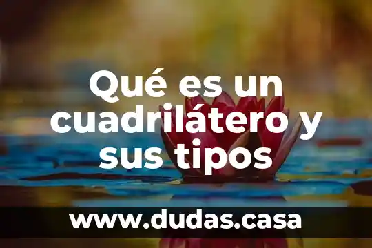 Qué es un cuadrilátero y sus tipos