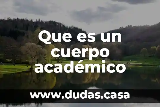 Que es un cuerpo académico