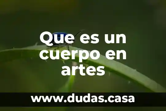 Que es un cuerpo en artes