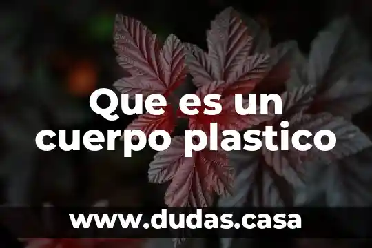 Que es un cuerpo plastico