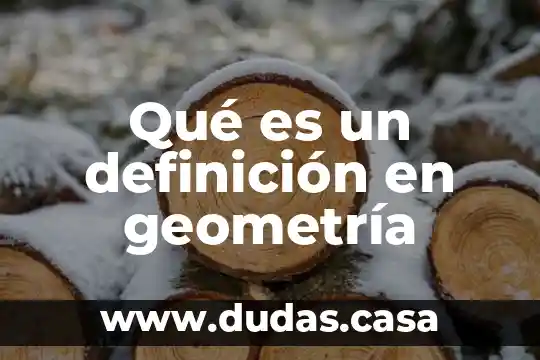 Qué es un definición en geometría