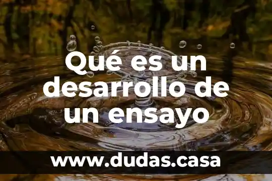 Qué es un desarrollo de un ensayo