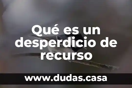 Qué es un desperdicio de recurso