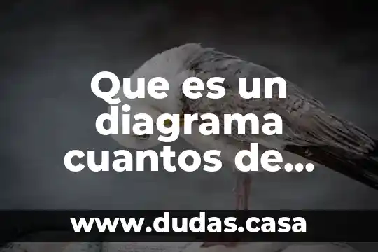 Que es un diagrama cuantos de diagramas existen