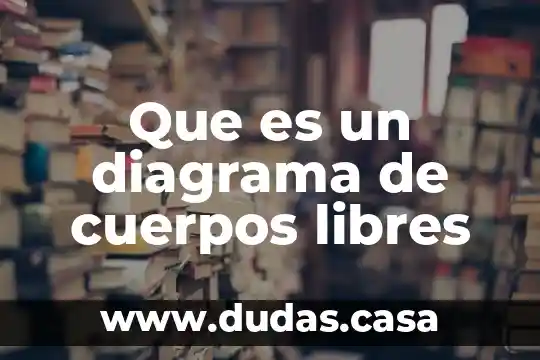 Que es un diagrama de cuerpos libres
