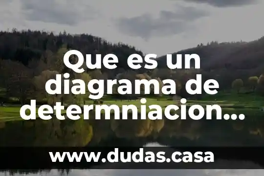 Que es un diagrama de determniacion calidad