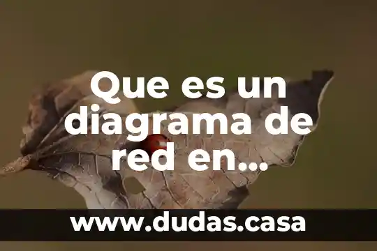 Que es un diagrama de red en informatica