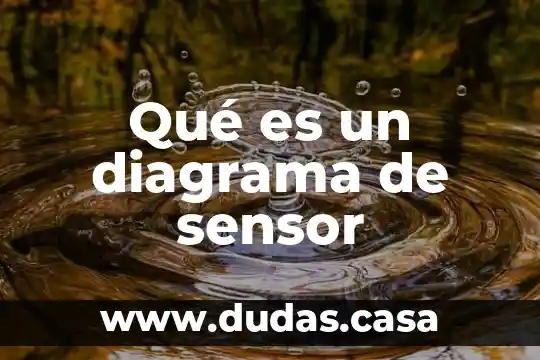 Qué es un diagrama de sensor