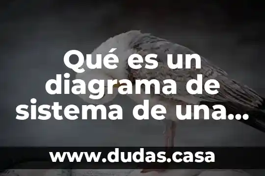 Qué es un diagrama de sistema de una clínica