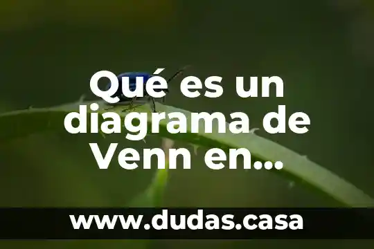 Qué es un diagrama de Venn en probabilidad y estadística